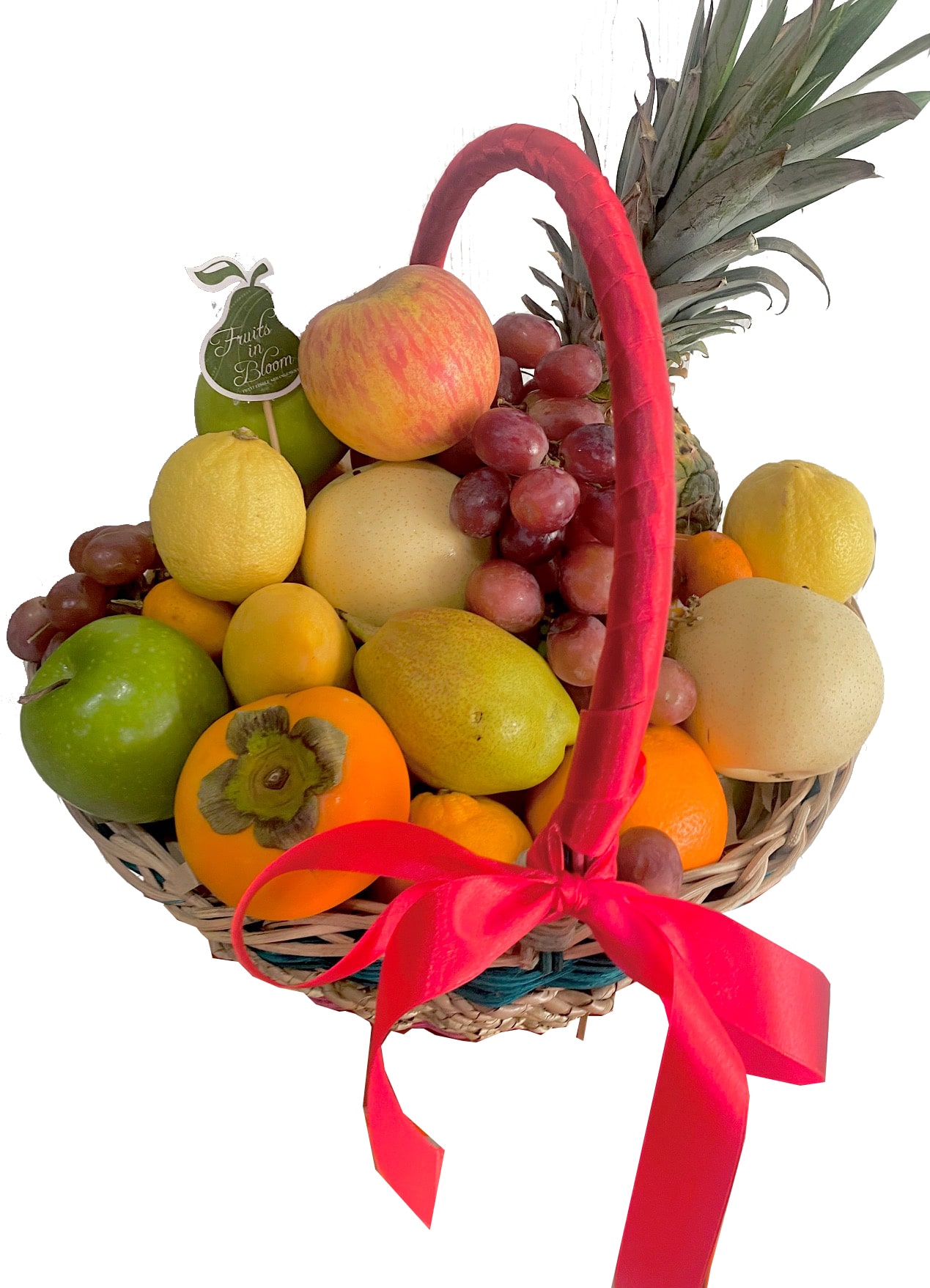 FRUIT BASKET (2023)